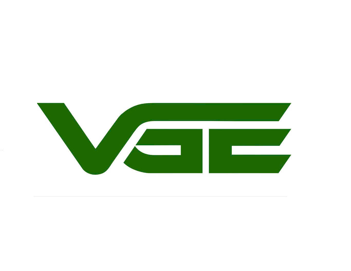 vgecharger.com